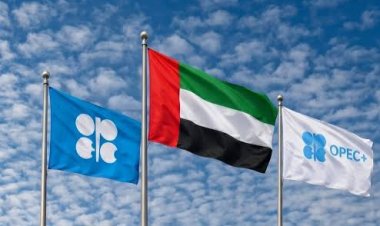 بعد انسحاب الإمارات.. ما الفرق بين “أوبك” و“أوبك+”؟